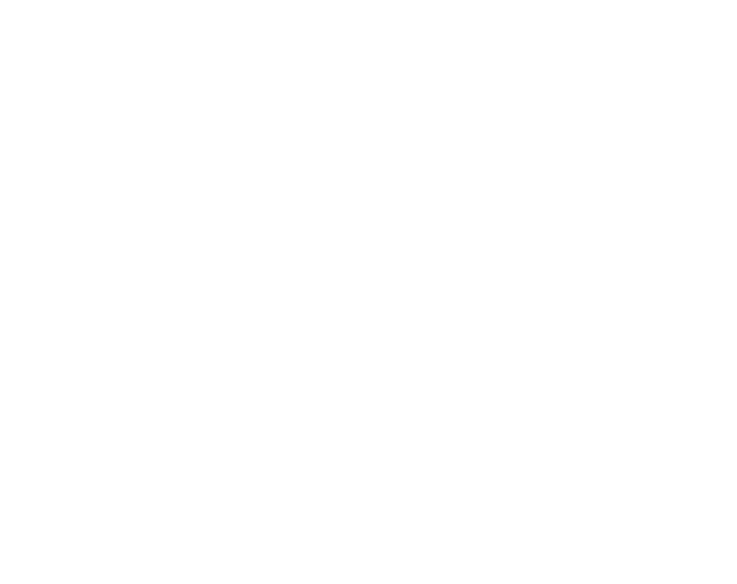 medallion maze